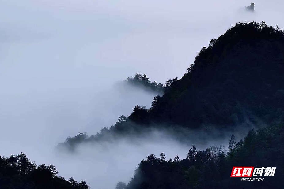 微信图片_20260225114051_1652_214.jpg 微信图片_20260225114051_1652_214.jpg