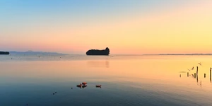 滇池湿地梳新妆，一镜春色入画来