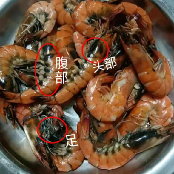 变黑的虾还能吃吗?这种“黑虾”千万别吃