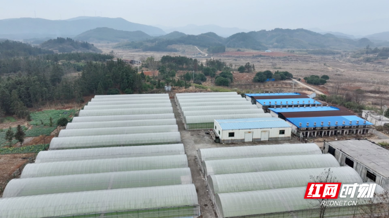 微信图片_20260226101823_6884_1.png 微信图片_20260226101823_6884_1.png