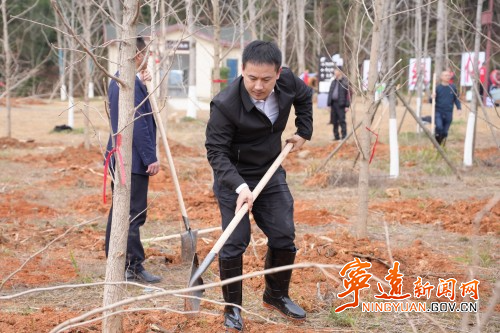 毛政 林亮亮参加义务植树活动2_副本500.jpg