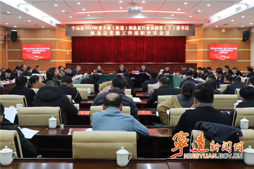 宁远召开2025年度乡镇(街道)和县直行业系统党(工)委书记抓基层党建工作述职评议会议_副本500.png