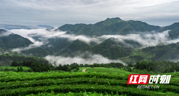 微信图片_20260225195221_815_156.jpg 微信图片_20260225195221_815_156.jpg