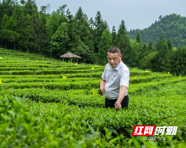 微信图片_20260226155217_839_156.jpg 微信图片_20260226155217_839_156.jpg