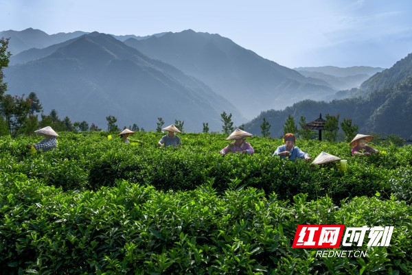 微信图片_20260225195219_814_156.jpg 微信图片_20260225195219_814_156.jpg