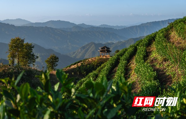 微信图片_20260225195211_807_156.jpg 微信图片_20260225195211_807_156.jpg