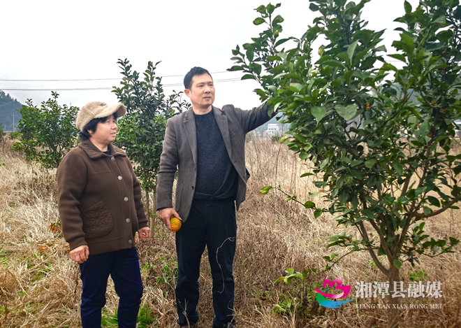 图片3.png 图片3.png