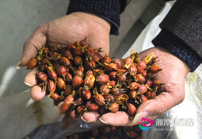 图片4.png 图片4.png