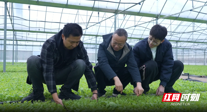 微信图片_20260226101817_6883_1.png 微信图片_20260226101817_6883_1.png