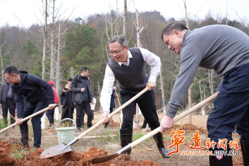 毛政 林亮亮参加义务植树活动1_副本500.jpg