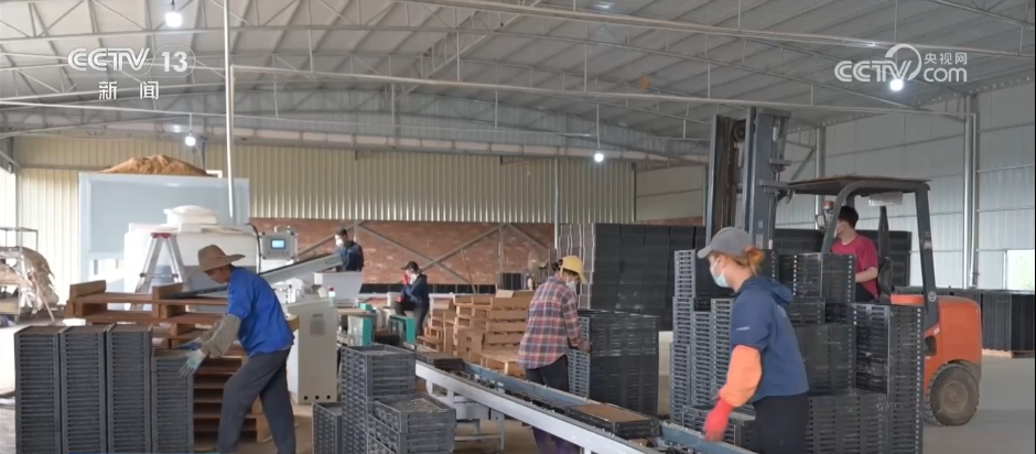 各地积极开展春耕春管工作 希望的田野上“苗”绘多彩春景图