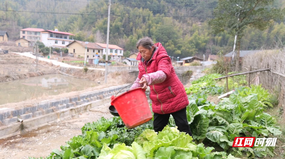 微信图片_20260225102632_4585_71.png 微信图片_20260225102632_4585_71.png