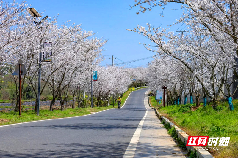 2222222222_副本.jpg 2222222222_副本.jpg