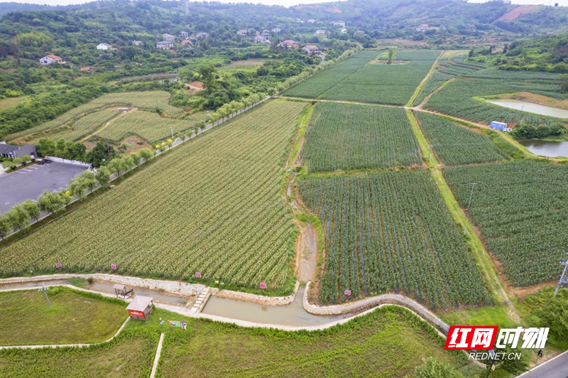 图片1_副本.png 图片1_副本.png