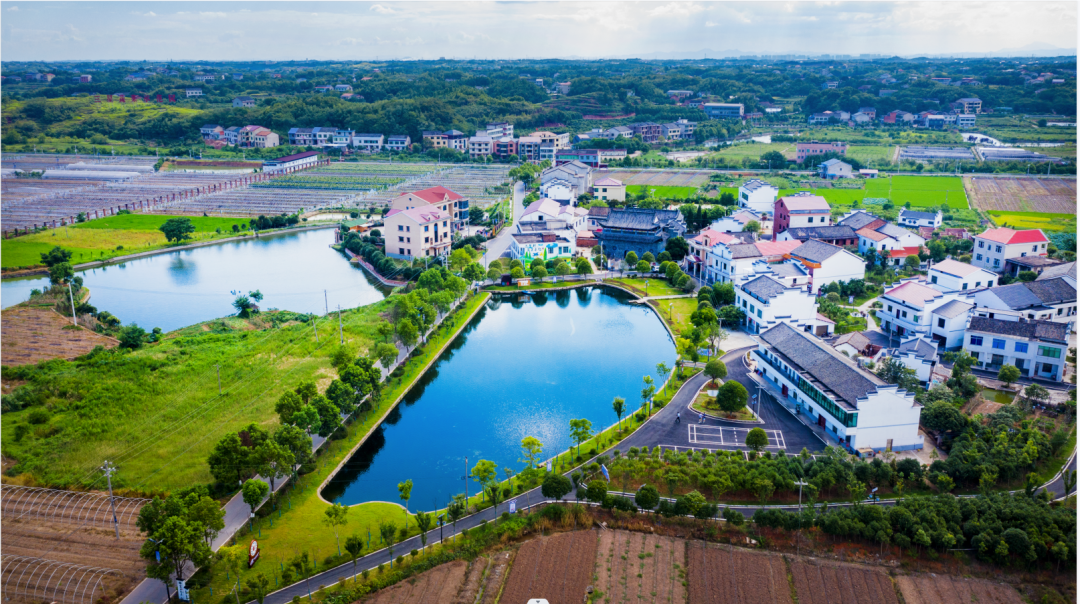 衡阳市三星村：数字产业启新航，三星焕彩韵悠长