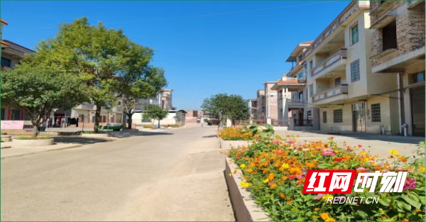 微信图片_20260217142602_4_74.jpg 微信图片_20260217142602_4_74.jpg