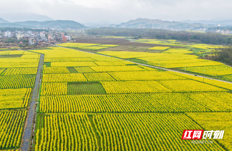 DJI_20260227102251_0103_D 拷贝.jpg