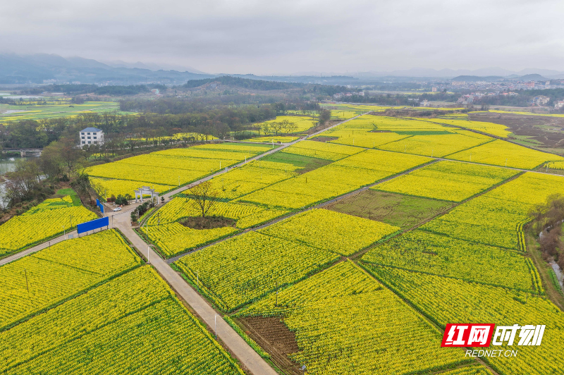 DJI_20260227102324_0106_D 拷贝.jpg