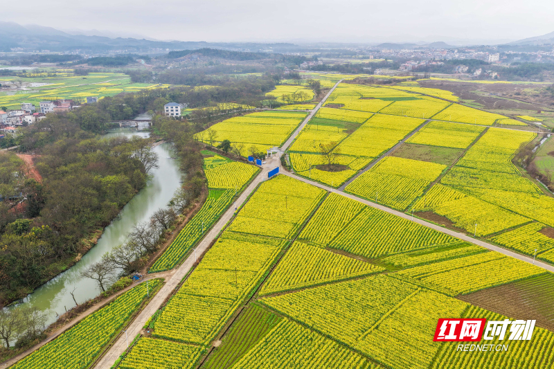 DJI_20260227102345_0108_D 拷贝.jpg