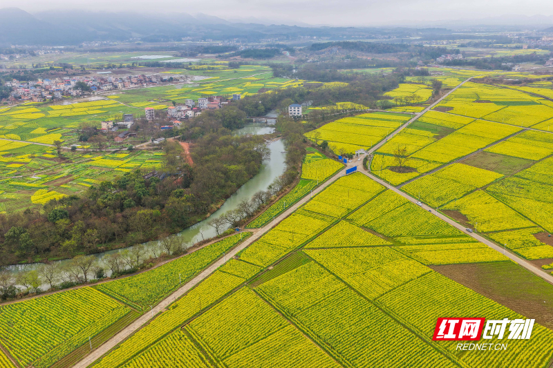 DJI_20260227102531_0117_D 拷贝.jpg