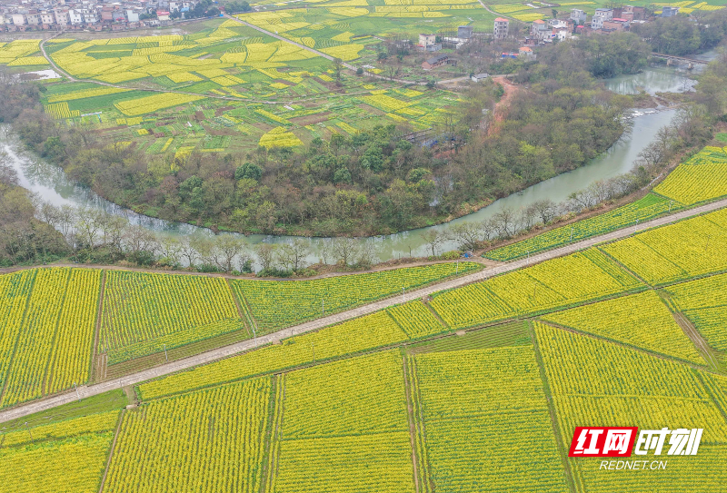 DJI_20260227102542_0118_D 拷贝.jpg