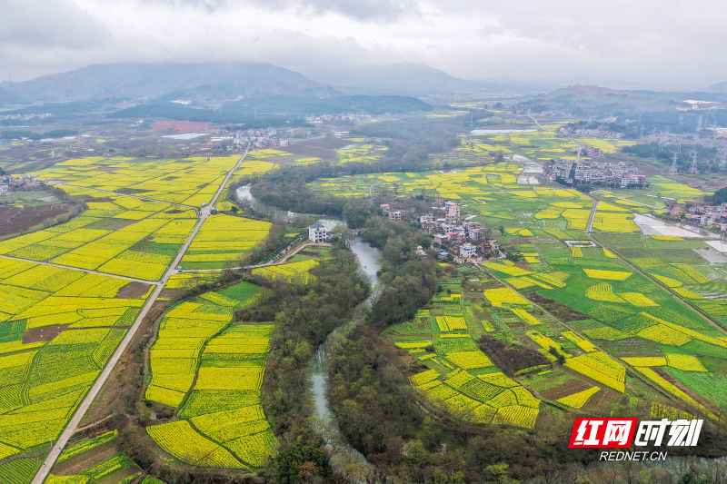 DJI_20260227103110_0129_D 拷贝.jpg