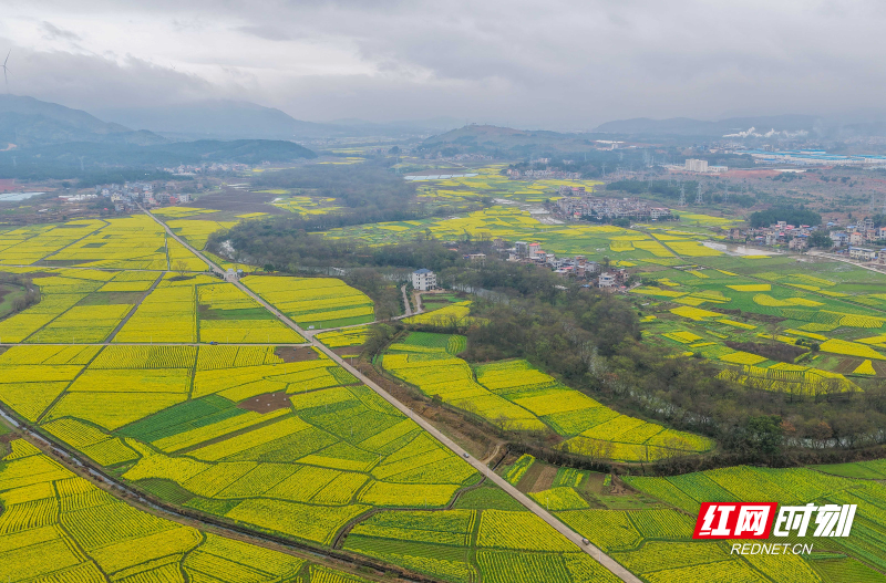 DJI_20260227103210_0133_D 拷贝.jpg