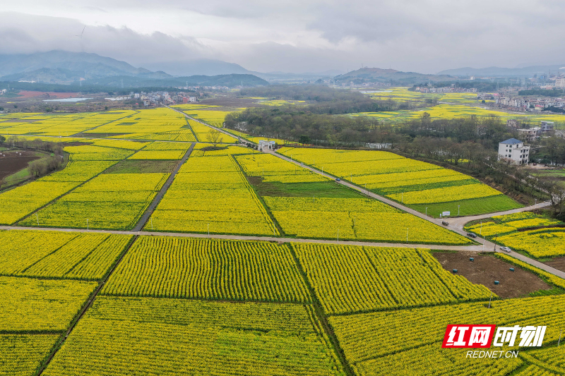 DJI_20260227103306_0137_D 拷贝.jpg