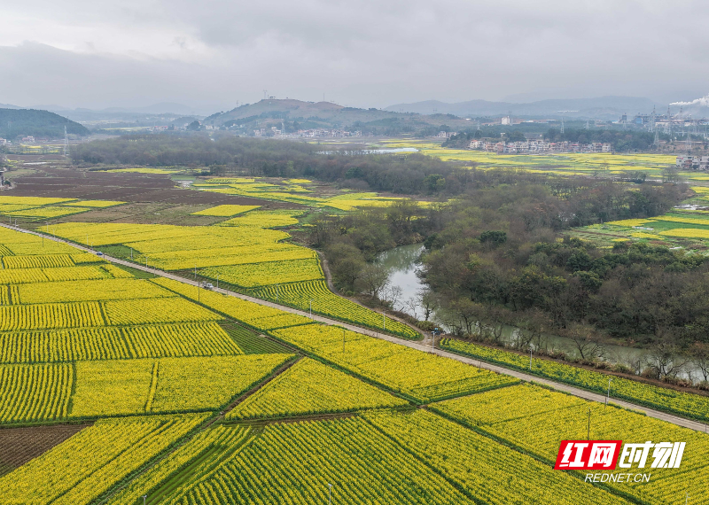 DJI_20260227103355_0140_D 拷贝.jpg