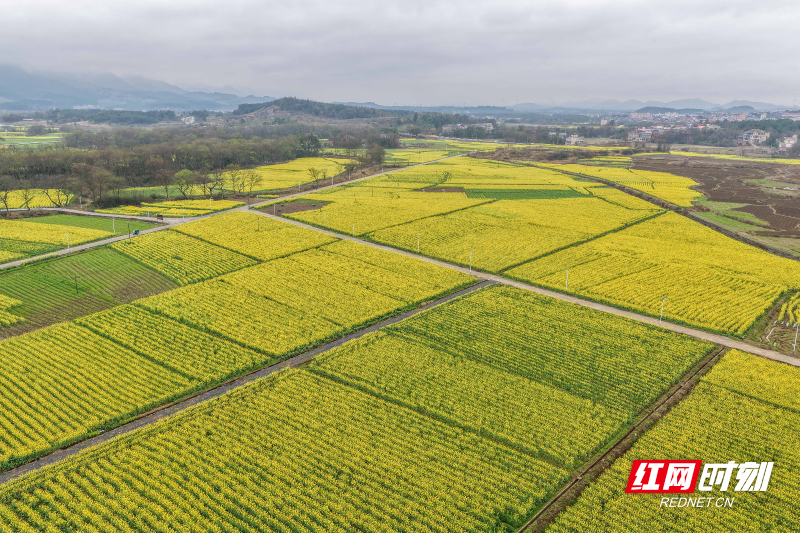 DJI_20260227103403_0141_D 拷贝.jpg