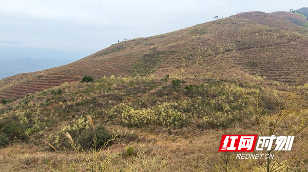 ScreenShot_2026-02-27_110124_780_副本.png ScreenShot_2026-02-27_110124_780_副本.png