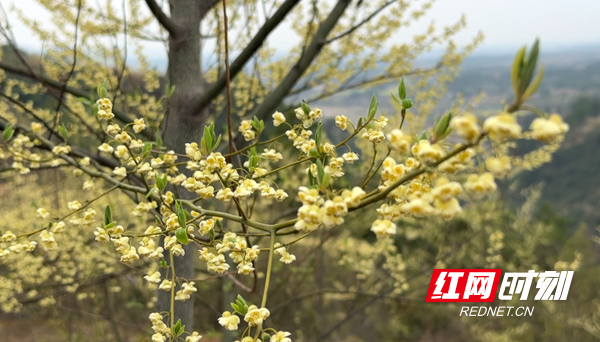 ScreenShot_2026-02-27_105939_414_副本.png ScreenShot_2026-02-27_105939_414_副本.png