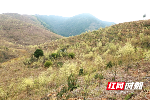 ScreenShot_2026-02-27_105500_397_副本.png ScreenShot_2026-02-27_105500_397_副本.png