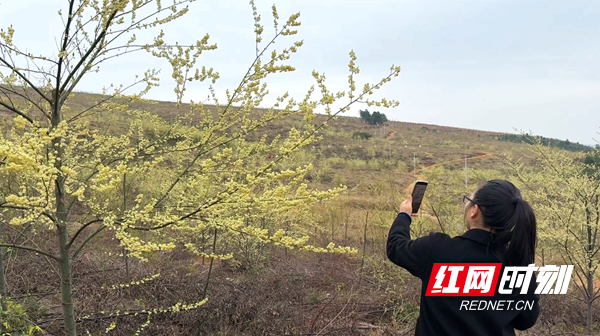 ScreenShot_2026-02-27_110058_139_副本.png ScreenShot_2026-02-27_110058_139_副本.png