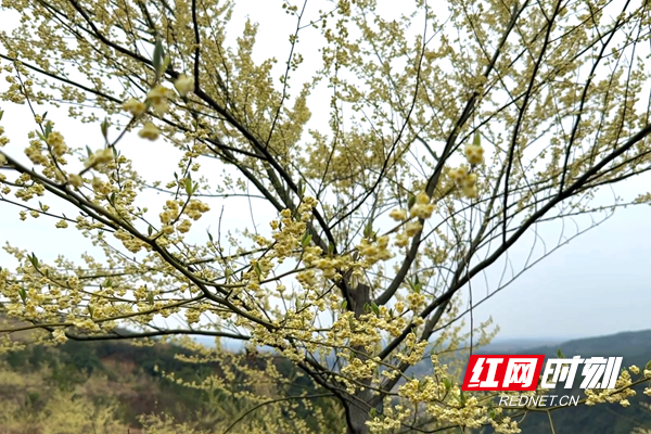 ScreenShot_2026-02-27_105922_520_副本.png ScreenShot_2026-02-27_105922_520_副本.png