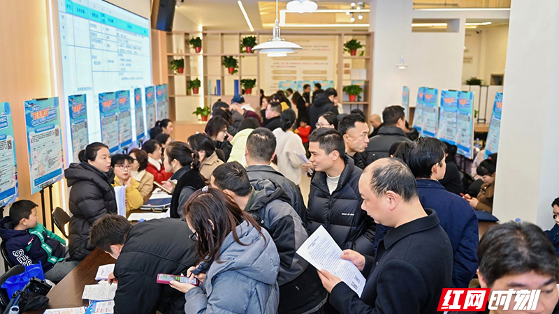 芦淞区多了个“淘岗位”的好去处，助求职者“轻淞”就业