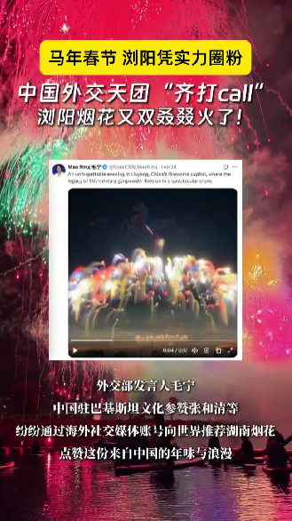 中国外交天团“齐打call”