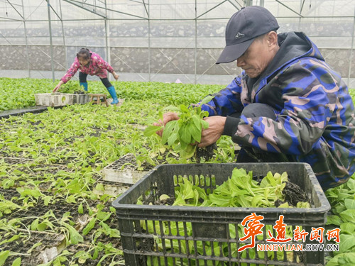 宁远县禾亭镇:抢抓农时推进烤烟春耕生产_副本500.jpg 宁远县禾亭镇:抢抓农时推进烤烟春耕生产_副本500.jpg