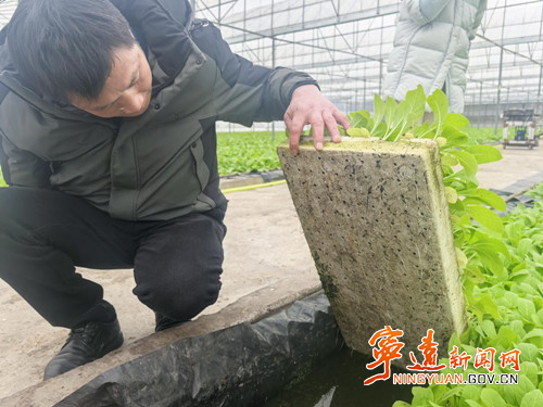 宁远县禾亭镇:抢抓农时推进烤烟春耕生产2_副本500.jpg 宁远县禾亭镇:抢抓农时推进烤烟春耕生产2_副本500.jpg