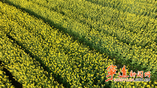 宁远:九嶷大地春意浓4副本_副本500.jpg 宁远:九嶷大地春意浓4副本_副本500.jpg