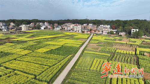 宁远:九嶷大地春意浓_副本500.jpg 宁远:九嶷大地春意浓_副本500.jpg