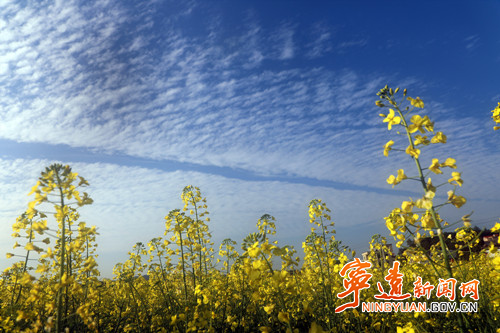 宁远:九嶷大地春意浓3_副本500.jpg 宁远:九嶷大地春意浓3_副本500.jpg