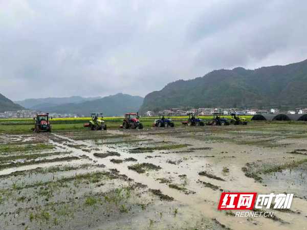 050eb1c1e78e20d242ad523d7fdef293.jpg 050eb1c1e78e20d242ad523d7fdef293.jpg