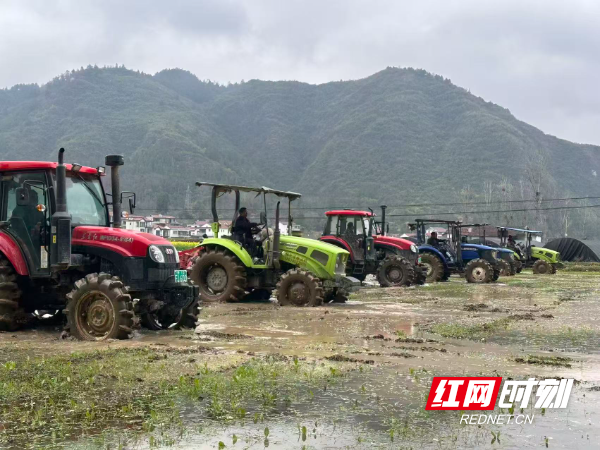 13d846d4f080c9c6b870da5c06b72be8.jpg 13d846d4f080c9c6b870da5c06b72be8.jpg