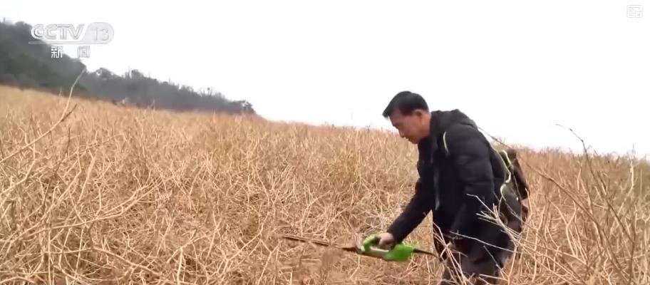 从脱贫到增收：五年巩固提升 脱贫地区走出可持续增收新路