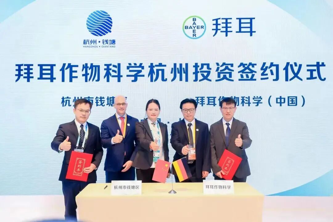 2027031467313254400.webp 图片