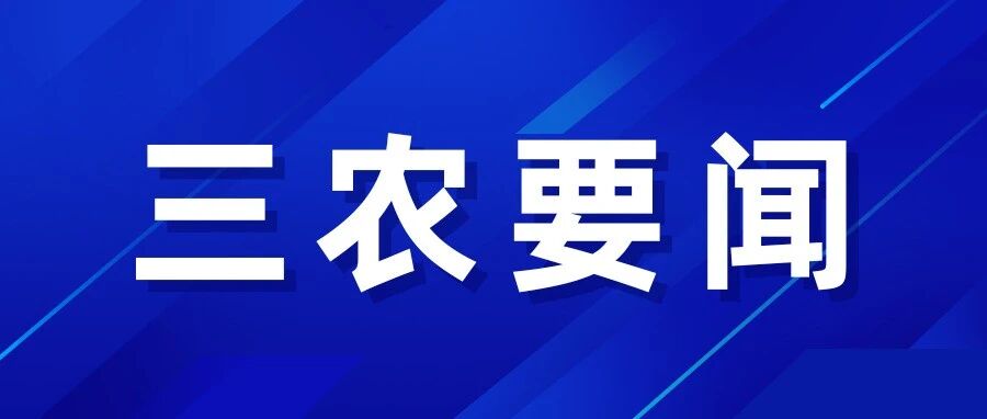 全省高标准农田建设暨农村集体“三资”管理突出问题整治工作视频会议召开