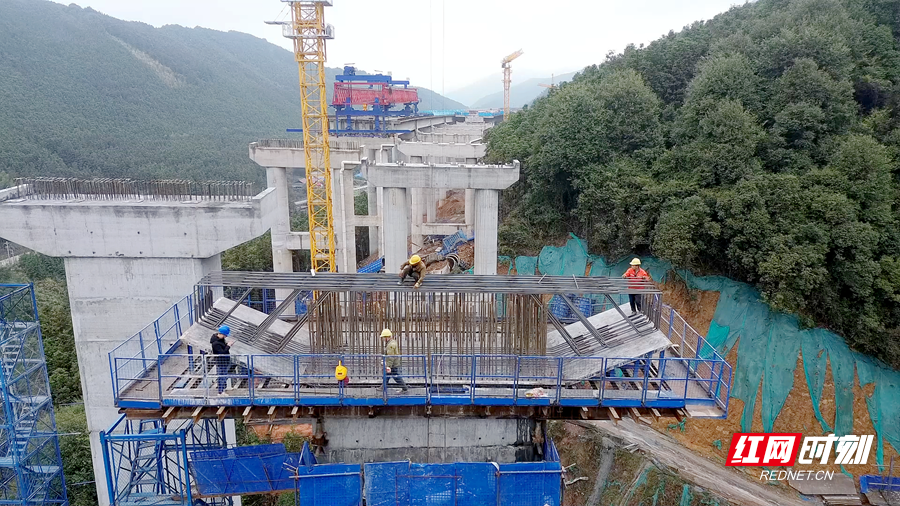 零道高速 03_副本.png