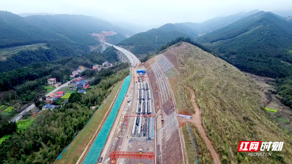 零道高速 01_副本.png 零道高速 01_副本.png