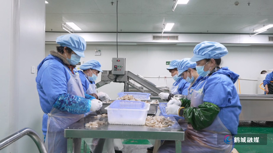 初编:鹤城新春第一访.mp4_20260302_160541.227.jpg 初编:鹤城新春第一访.mp4_20260302_160541.227.jpg